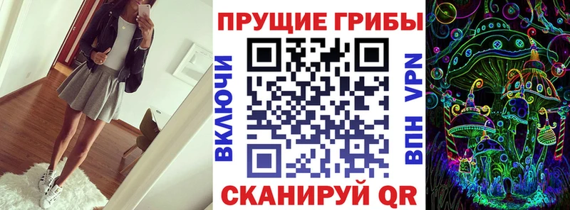 Купить где  Покровск  Псилоцибиновые грибы MAGIC MUSHROOMS 
